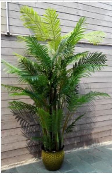 Picture of Artificial Plant