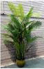 Picture of Artificial Plant