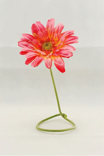 Picture of Flower